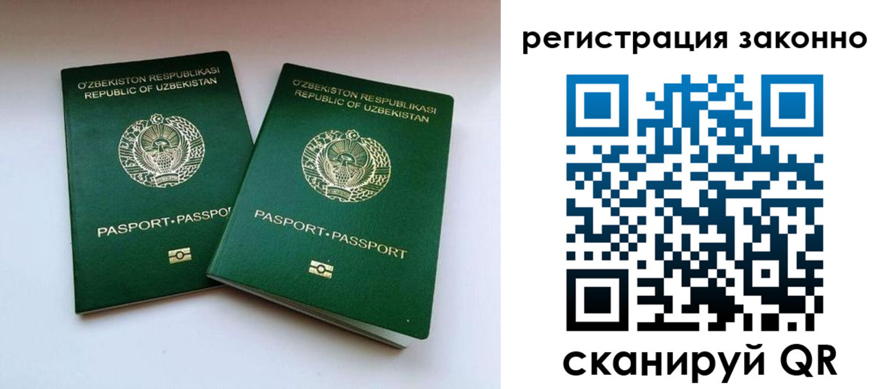 прописка гарантия в Кировске